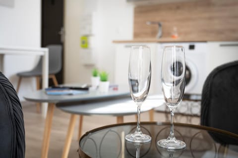 Dolmen Adrien 5 Apartment in Tours