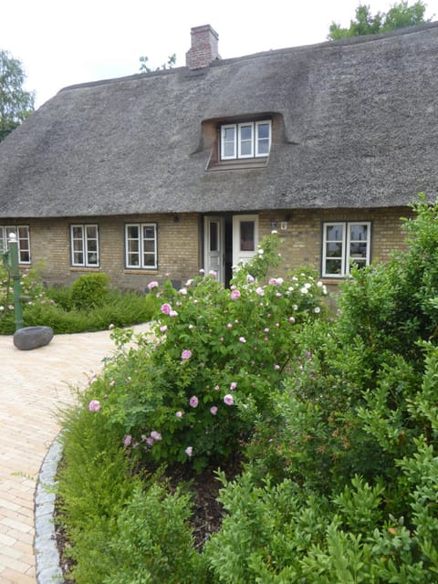 Facade/entrance, Garden