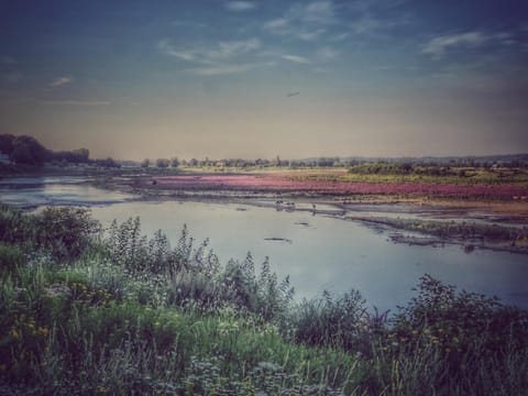 Natural landscape, River view