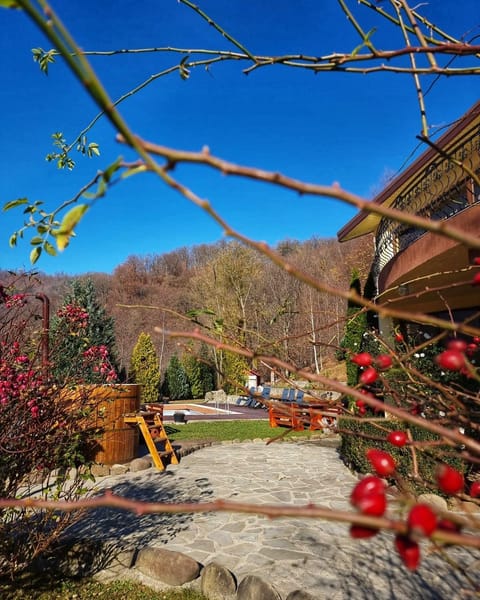 Un colț de Rai Nature lodge in Prahova, Romania