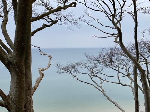 Przytulny Apartament Dębina Apartment in Pomeranian Voivodeship