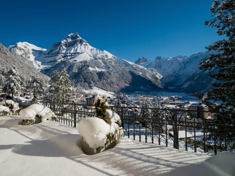 Hotel Terrace Hotel in Nidwalden