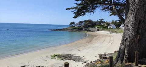 Natural landscape, Beach, Hiking
