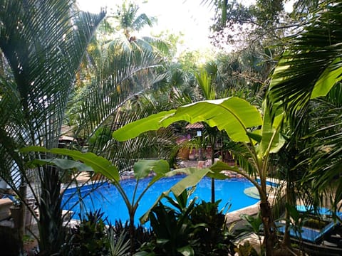 Pool view