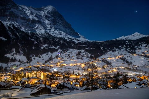 Property building, Night, Winter, Mountain view