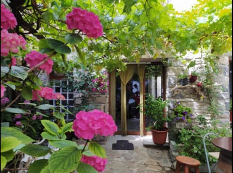 Property building, Patio, Spring, Day, Garden, Garden view