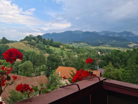 Vila Muntii Bucegi & SPA Bed and Breakfast in Bran