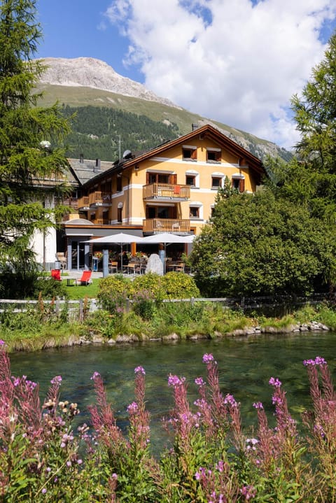 Property building, Natural landscape