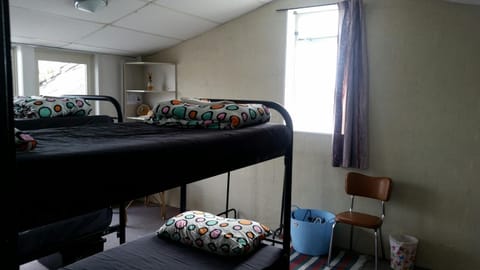 Loft 109 Backpackers Hostel Hostel in Tauranga