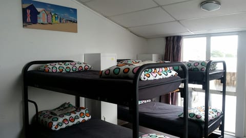 Loft 109 Backpackers Hostel Hostel in Tauranga