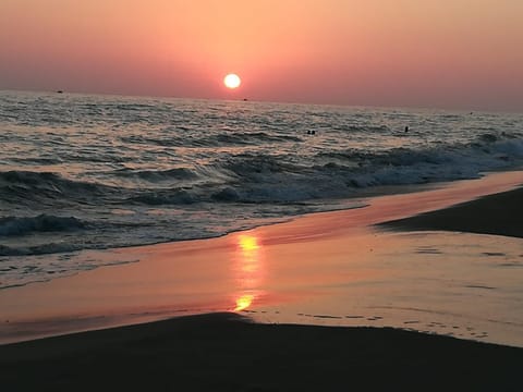 Beach, Sunset