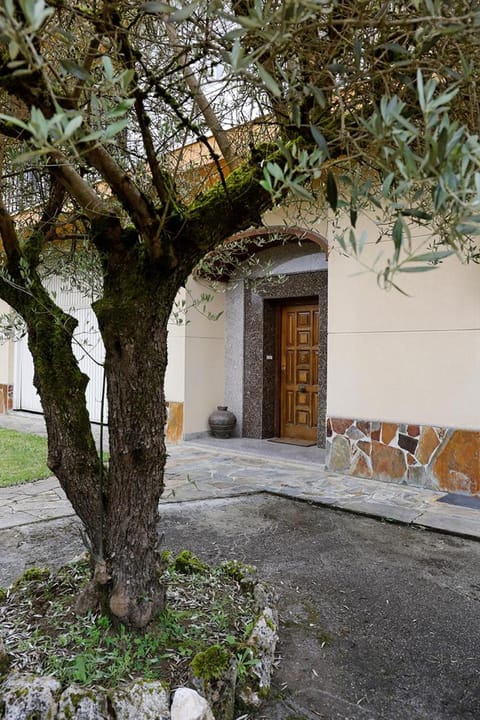 Casa de Castelo House in Lugo