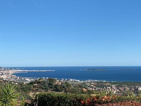 Bird's eye view, Sea view