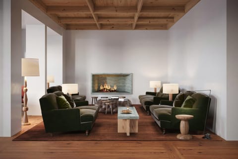 Lounge or bar, Seating area, fireplace