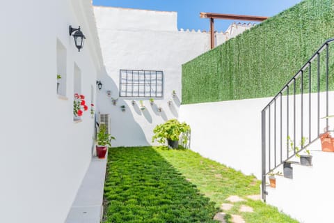 Patio, Garden, Garden view