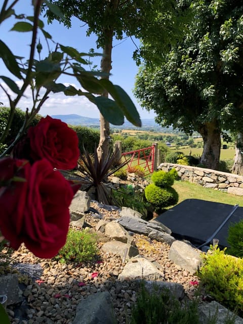 Mc Courts Cottage & Barn House in Northern Ireland