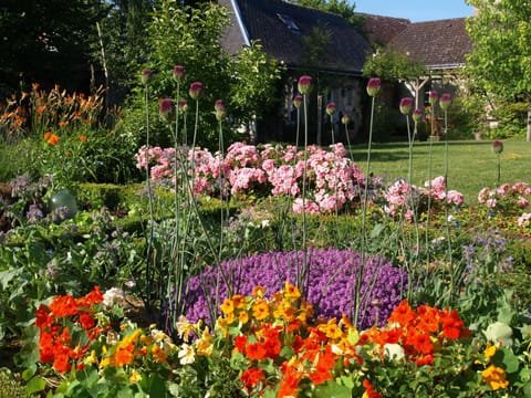 Natural landscape, Garden, Garden view