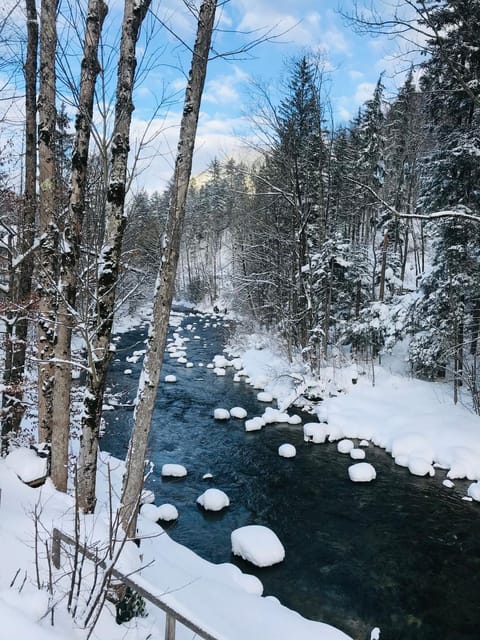 Winter, River view