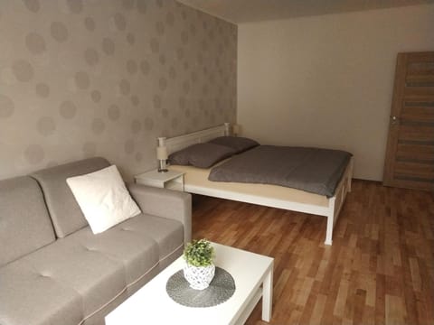 Apartmán Tereza Apartment in Thuringia, Germany