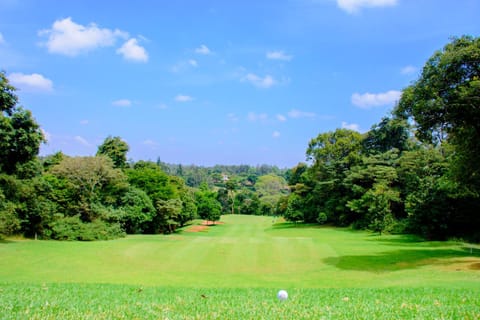 Natural landscape, Golfcourse