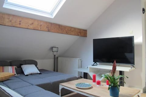 Brussels Downtown Apartment in Brussels