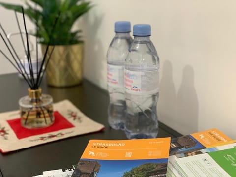 Le Pont Kuss Apartment in Strasbourg