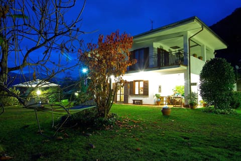 Property building, Night, Garden