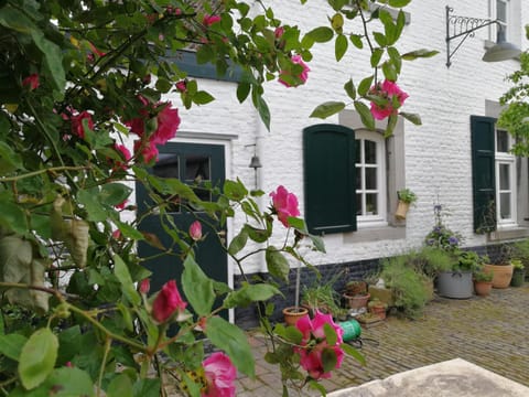 Summer, Inner courtyard view