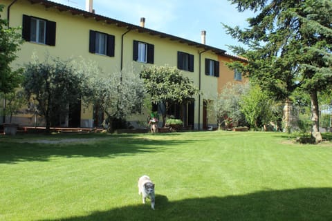 Veramaro,accogliente appartamento in campagna Condo in Arezzo