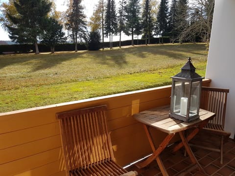 Ferienwohnung im Schwarzwald Oberwiesenhof Appartement in Forbach