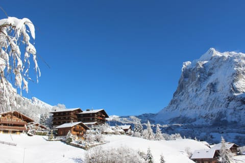 Property building, Facade/entrance, Day, Natural landscape, Winter, Landmark view, Mountain view