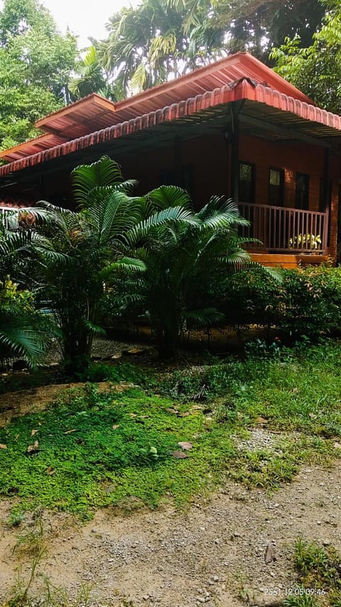 Khaosok Island Resort Bed and Breakfast in Khlong Sok