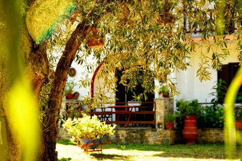 Facade/entrance, Balcony/Terrace, Sunset