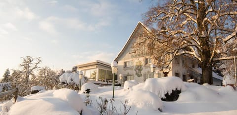 Property building, Natural landscape, Winter