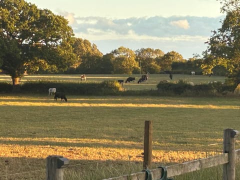 High Oak Holiday Cottage House in Borough of Harrogate