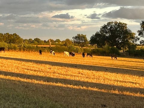 High Oak Holiday Cottage House in Borough of Harrogate