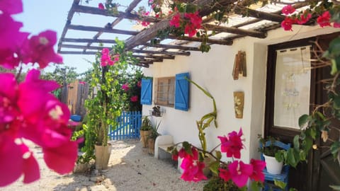 Property building, Day, Garden view