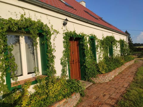 Srokowski Dwór 1 - Mazurski Dwór - 450m2 House in Lithuania