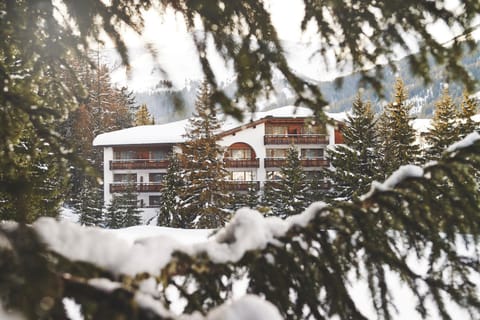 Property building, Day, Winter, Mountain view