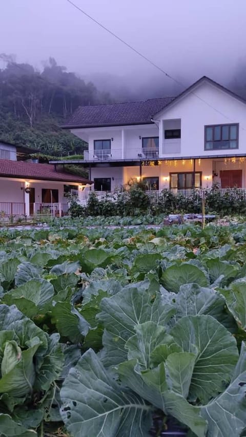 Ng Family’s Farm Stay Vacation rental in Brinchang