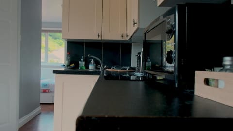 Kitchen or kitchenette, minibar, pet friendly, stove