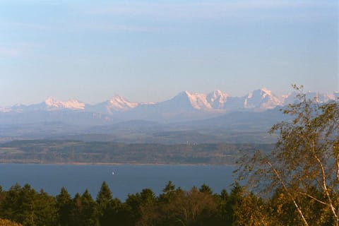 Lake view, Mountain view