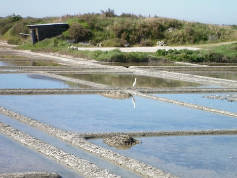 Off site, Natural landscape