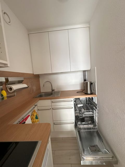 Kitchen or kitchenette, dishwasher