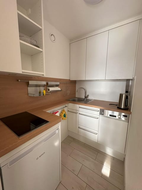 Kitchen or kitchenette, dishwasher, stove