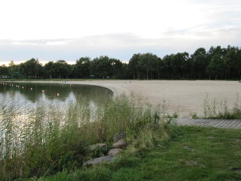 Natural landscape, Beach, Lake view