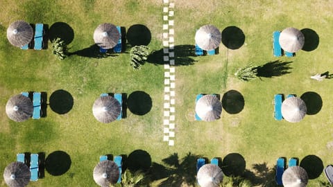 Day, Bird's eye view, Beach, sunbed