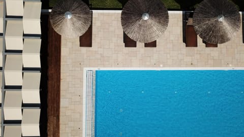 Day, Pool view, Swimming pool, sunbed