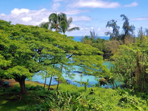 Mauna Loa Shores #405 condo Copropriété in Hilo