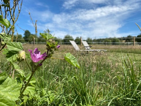 La vagabonde Bed and Breakfast in Wallonia, Belgium